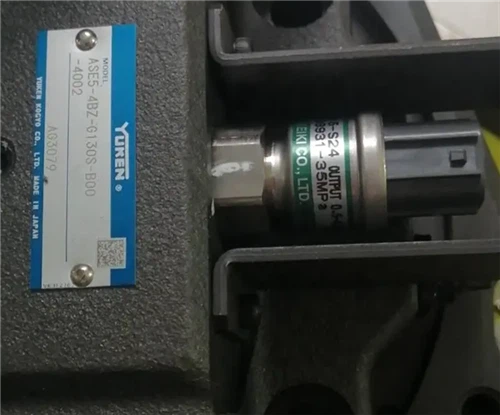 YUKEN ASE ASE3-4AA-G80 ASE5-4BZ-G130 ASE10-4CE-G200 ASE15W-4bomba accionada por servomotor de CA serie CE-G* ASE{{12} }BZ-G130S-B00-4002